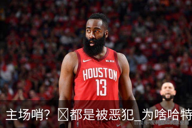 主场哨？🧠都是被恶犯 为啥哈特罚一个 文班罚两个？
